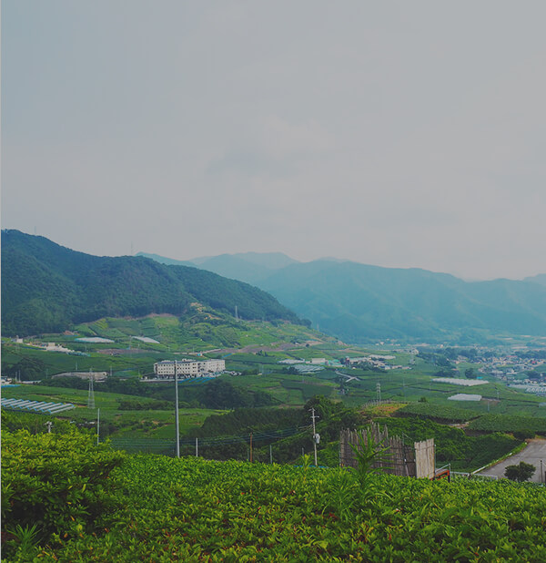 里山の風景写真